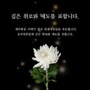 (무안공항 제주항공 여객기 추락사고) 무안공항에서 안타까운 불의의 사고로 돌아가신 분께 삼가 고인의 명복을 빕니다. 이미지