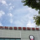 기아스포츠센타 | 자유수영 ⊹ 광명기아스포츠센터 일요일 오후 후기