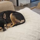 스테이 그리다 이미지