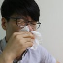 안암동물병원 이미지