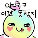 시바직구 이미지