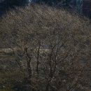 양명고등학교 이미지