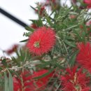 허브당구장 이미지