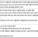 이오디앤씨