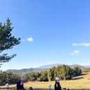 남원읍-103 | 제주도 핫플레이스 제주 atv 놀거리 하늘바당