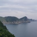 독이야기