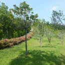 보배공원 이미지