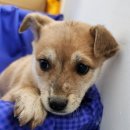 부동리마을회관 이미지