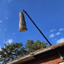 크레인을 이용한 아보리스트 리깅 작업 중입니다.-대한아보리스트연합회 이미지