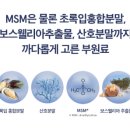 코어앤두 이미지