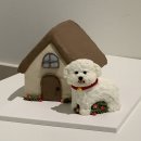 퍼피비스킷 이미지