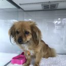 을왕주유소 이미지