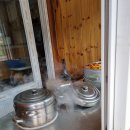 보리네김밥 이미지