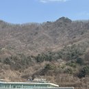 제주돈통 | 춘천 스무숲 삼겹살맛집 제주돈통 내돈내산 후기