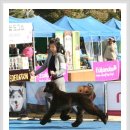 발안바이오고등학교 이미지