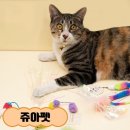 냥냥펀치 - 고양시 일산동구 | 냥냥펀치