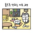 오늘점핑다이어트