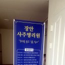 재미로 풀어보는 사주명리학 | [대전/서구] 대전사주 잘보는곳 🌟｜대전 <장안사주명리원>에서 신년운세·사주상담 받은 후기 💥💥