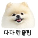 멍실 | 인천 강화도 애견운동장 대관 멍숲｜트리사냥 끝! 내향형 강아지 다다의 실제 후기