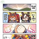 스칼렛 - 제주시 | 스칼렛