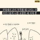 큰집 이미지