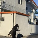 사마르예천 네이버블로그