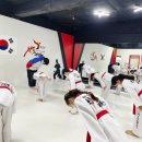 큰나무태권도장 이미지