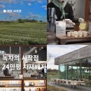 앞뜰농장 | 겨울서쪽제주 녹차밭 오설록티뮤지엄 티세트체험예약 이니스프리