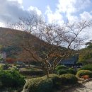 진도 운림산방 이미지