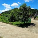 남대천로 이미지