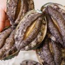 진도 아라 전복 이미지