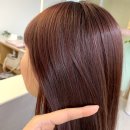 헤어본 네이버블로그