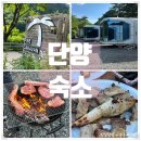 [공지] 단양 글램핑 4인 숙소 추천 (파인카라반캠핑장-우주선호텔카라반3호) feat.장어 맛집