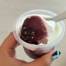 유얼거트 중독.. 그릭요거트 플레인 망고 체리 블루베리 리얼후기!