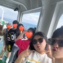 [Jeju Island🇰🇷] 지윤이네 감귤국으로 떠나다🍊 ep.3(우도전기차승선, 제주흑돼지집, 우도맛집/내돈내산...