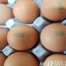 송일농장 이미지