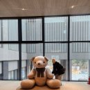 (유)아시아렌터카 | 또 한번 3월은 가고(+이런저런 일상과 제주 사진)