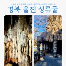 울진정비 | 울진 성류굴 입장료 삼대 가족 여행 가볼만한곳 주차장