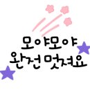 메타수학플레이팩토학원