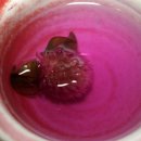 대구한의대학교 한방산업대학원 이미지