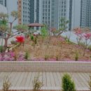 에스케이실버타운 이미지