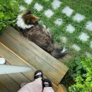 매직당구클럽 | 놀기 바빴던 여름… 근데 이제 공부를 곁들인….