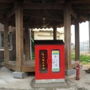 골든호스 이미지