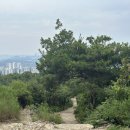 만월산배수지체육광장 이미지