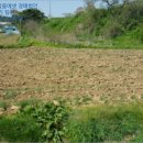 광천읍 운용마을회관 이미지