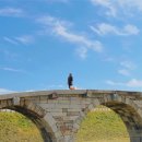 논산애견 이미지