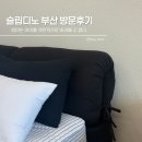 (주)디자인에이원 | 슬립디노 부산 쇼룸 방문후기 블랙 침대 프레임 블랙 소파