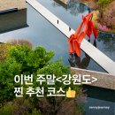 별바우목장 | 아이와 강원도 여행 가볼만한 곳 모음 : 키즈프렌들리 숙소 놀이공원 케이블카 맛집 카페