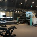 피티인거여 이미지