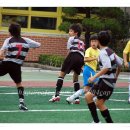 서울청량초등학교 이미지